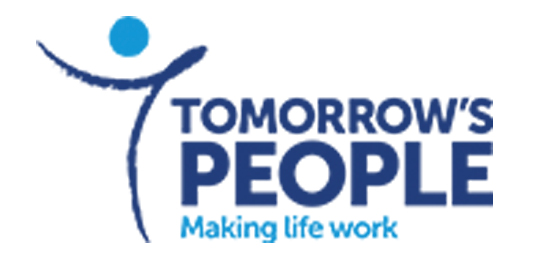 Wise Ability Partner