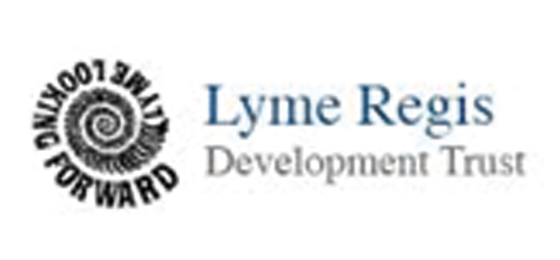 Wise Ability Partner