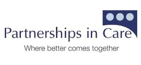 Wise Ability Partner